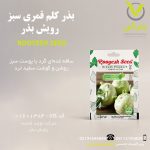 بذر کلم قمری سبز رویش بذر