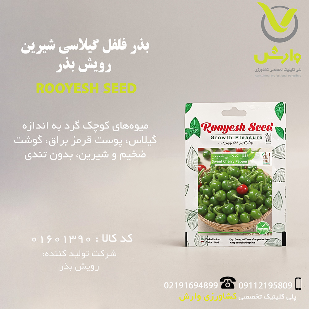 بذر فلفل گیلاسی شیرین رویش بذر