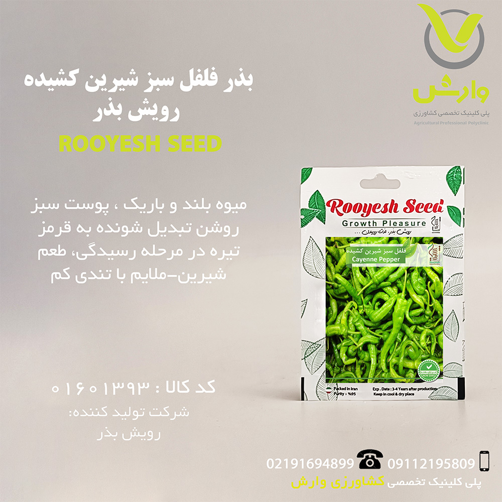 بذر فلفل سبز شیرین کشیده رویش بذر