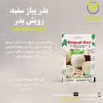 بذر پیاز سفید رویش بذر