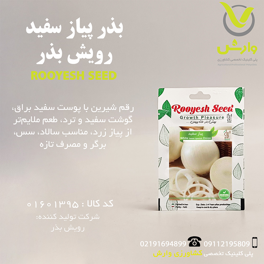 بذر پیاز سفید رویش بذر