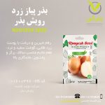 بذر پیاز زرد رویش بذر