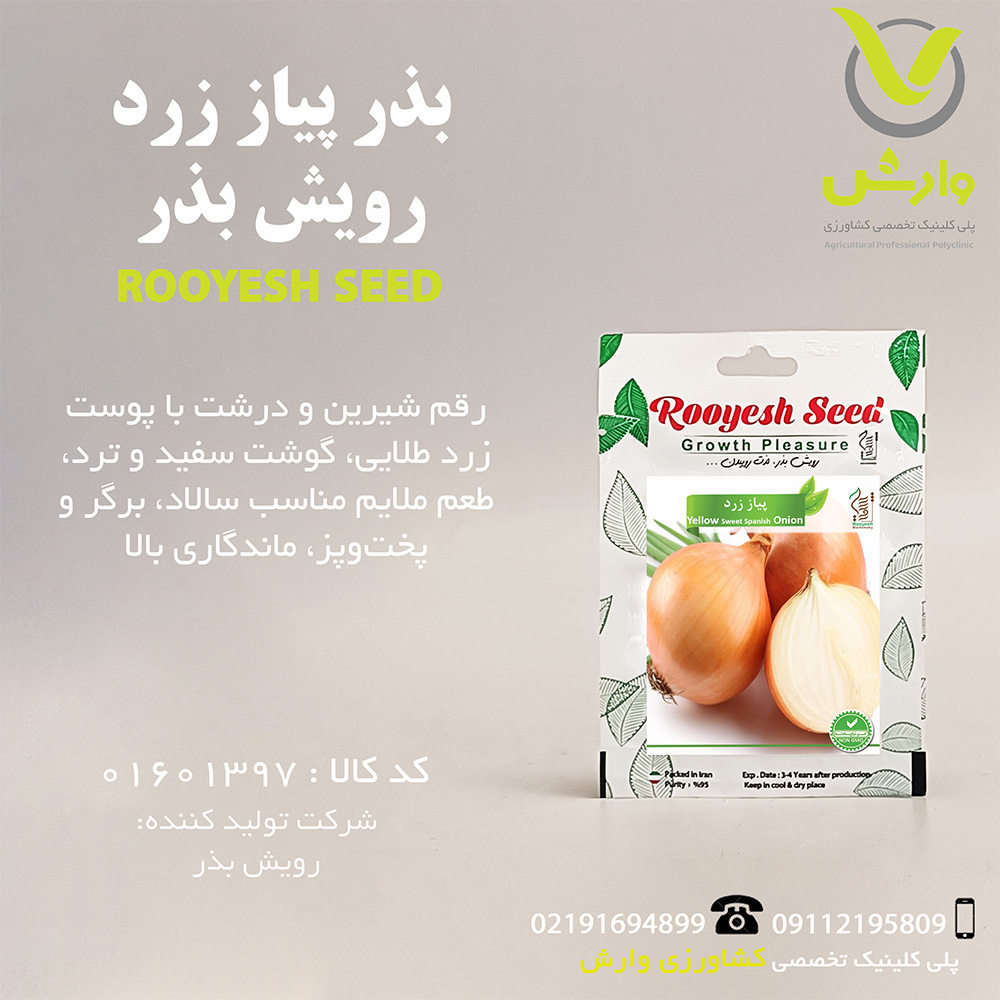 بذر پیاز زرد رویش بذر