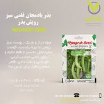 بذر بادمجان قلمی سبز رویش بذر