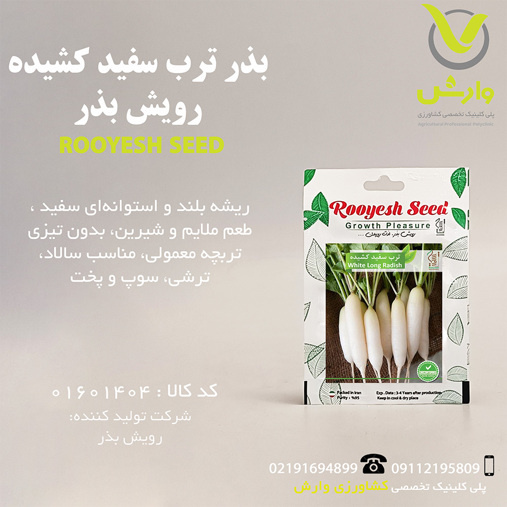 بذر ترب سفید کشیده رویش بذر