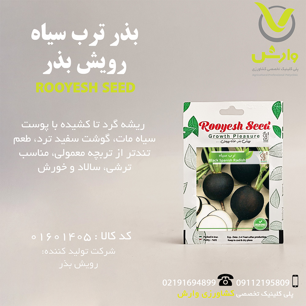 بذر ترب سیاه رویش بذر