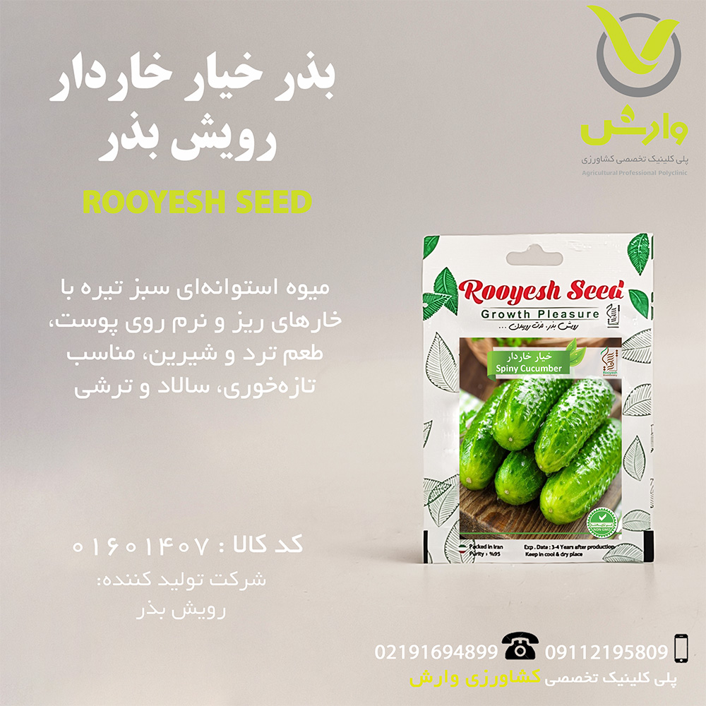 بذر خیار خاردار رویش بذر