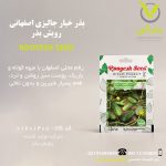 بذر خیار جالیزی اصفهانی رویش بذر