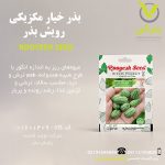 بذر خیار مکزیکی رویش بذر