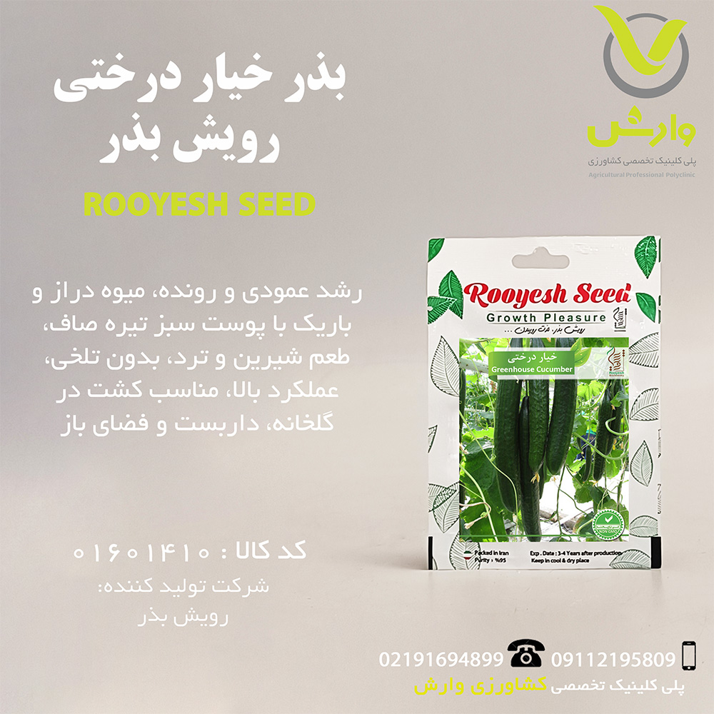 بذر خیار درختی رویش بذر