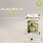 بذر گرمک رویش بذر