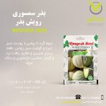 بذر سمسوری رویش بذر