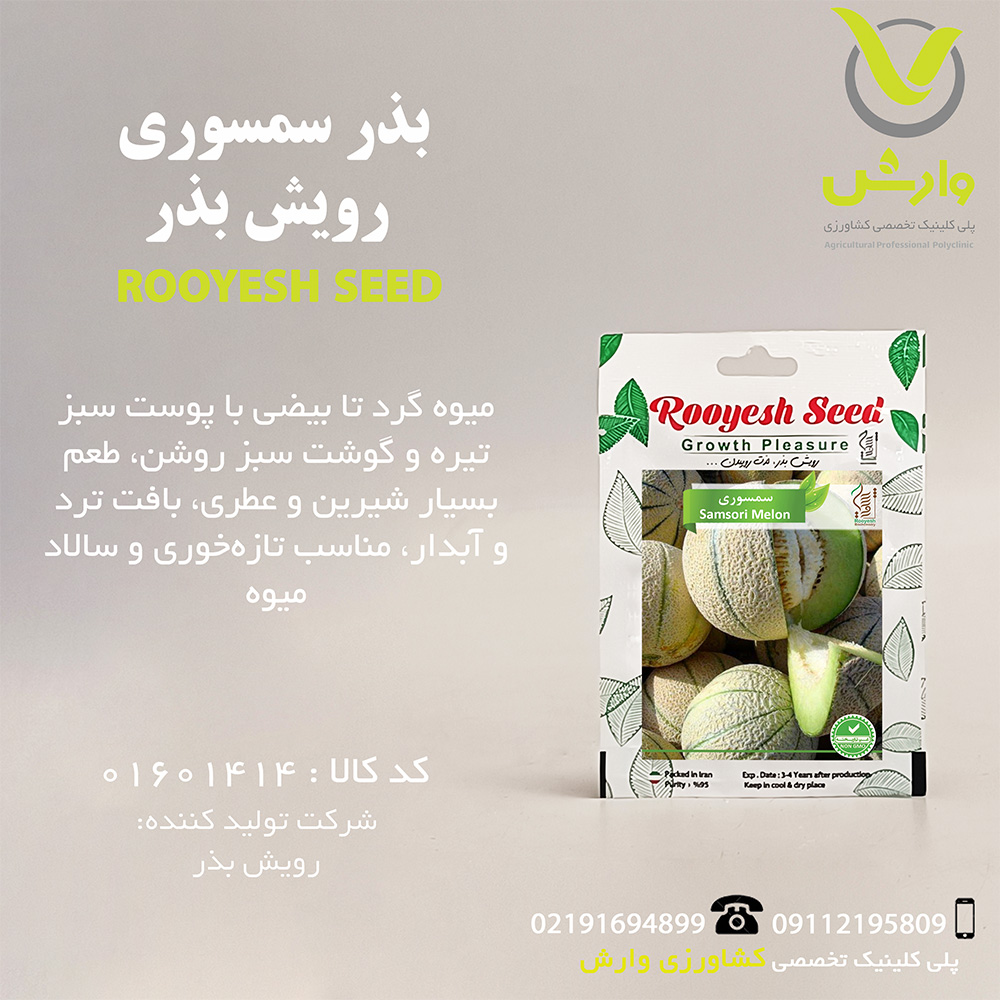 بذر سمسوری رویش بذر