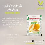 بذر خربزه کاناری رویش بذر