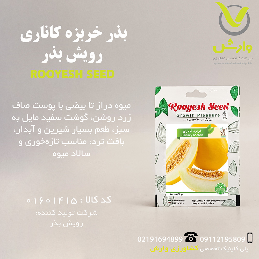 بذر خربزه کاناری رویش بذر