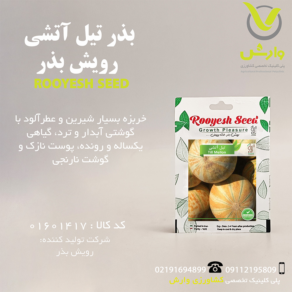 بذر تیل آتشی رویش بذر