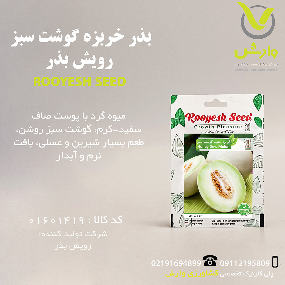 بذر خربزه گوشت سبز رویش بذر