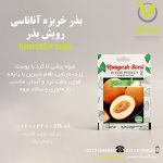 بذر خربزه آناناسی رویش بذر