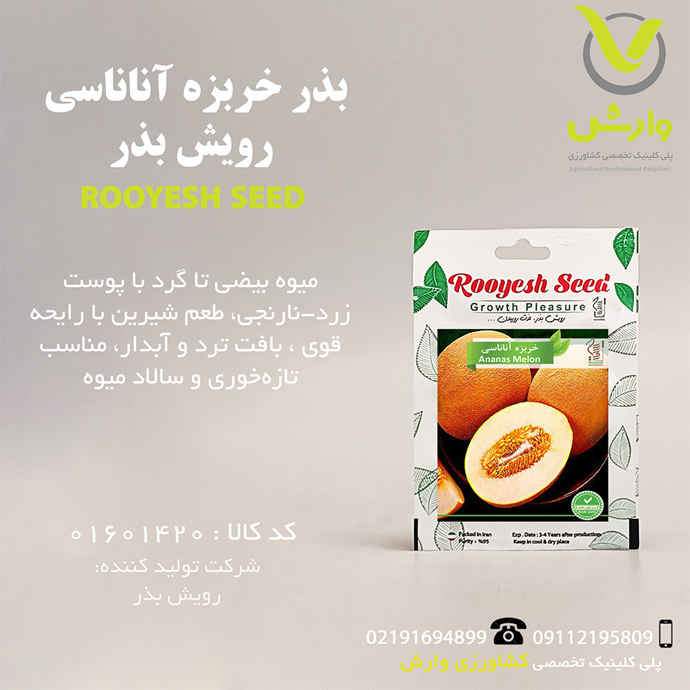 بذر خربزه آناناسی رویش بذر