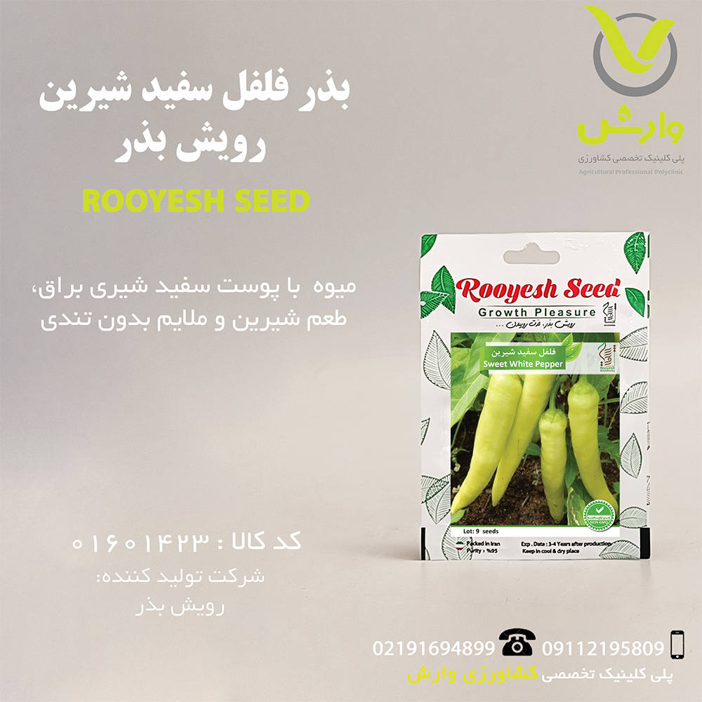 بذر فلفل سفید شیرین رویش بذر