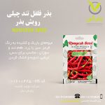 بذر فلفل تند چیلی رویش بذر