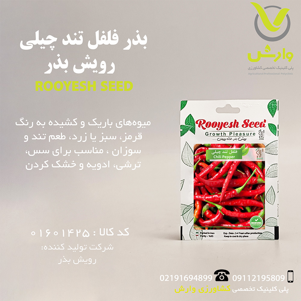 بذر فلفل تند چیلی رویش بذر