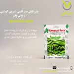 بذر فلفل سبز قلمی شیرین گوشتی رویش بذر