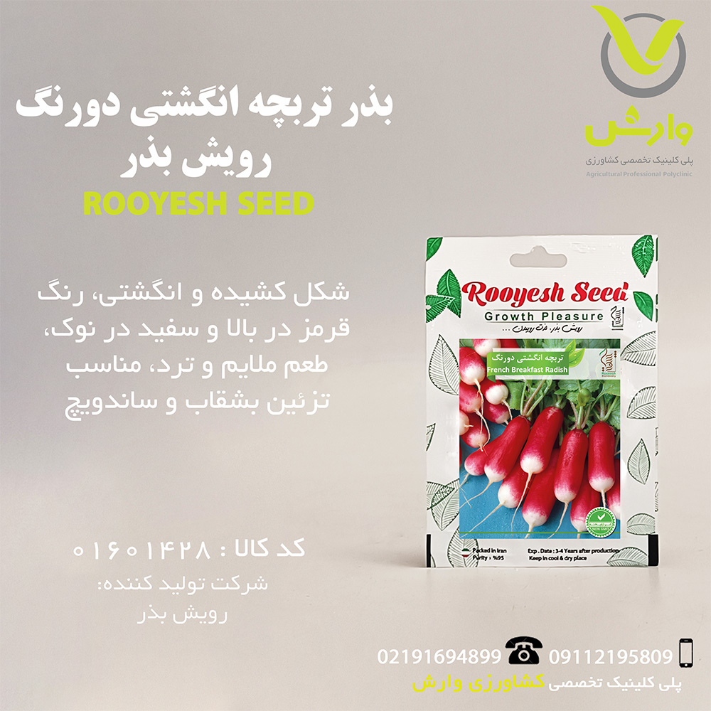 بذر تربچه انگشتی دورنگ رویش بذر