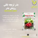 بذر تربچه نقلی رویش بذر
