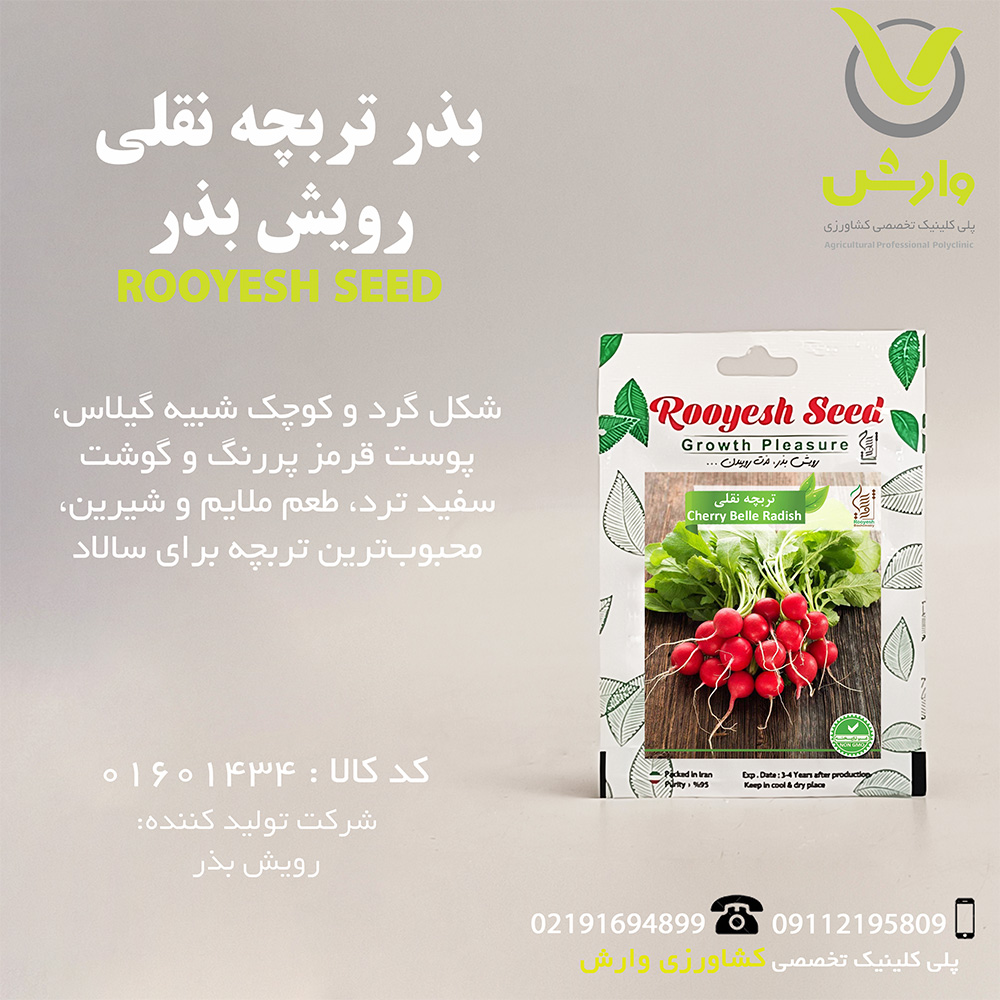 بذر تربچه نقلی رویش بذر