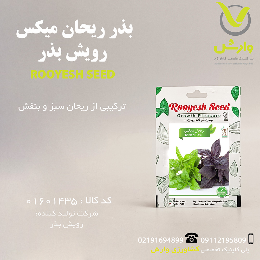 بذر ریحان میکس رویش بذر