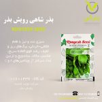 بذر شاهی رویش بذر