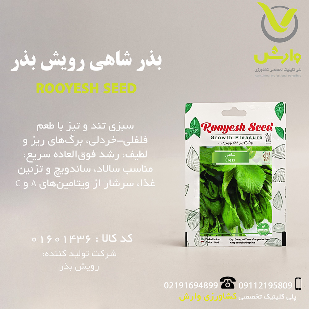 بذر شاهی رویش بذر