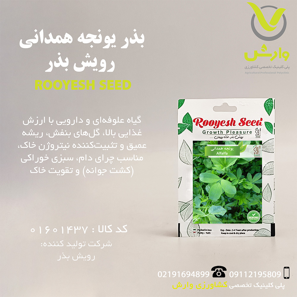 بذر یونجه همدانی رویش بذر