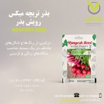 بذر تربچه میکس رویش بذر