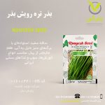 بذر تره رویش بذر