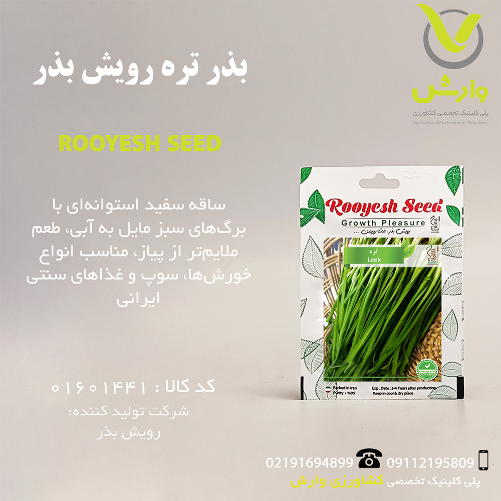 بذر تره رویش بذر