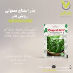 بذر اسفناج معمولی رویش بذر