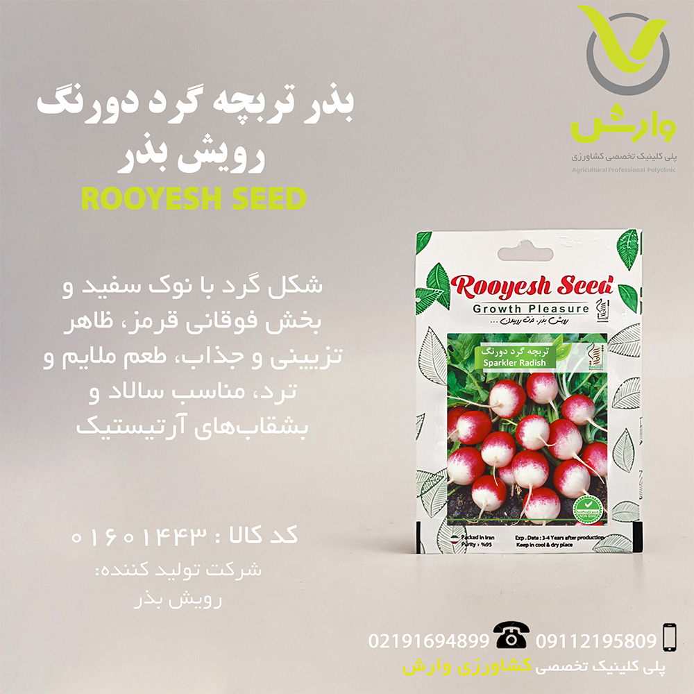 بذر تربچه گرد دورنگ رویش بذر
