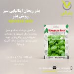 بذر ریحان ایتالیایی سبز رویش بذر