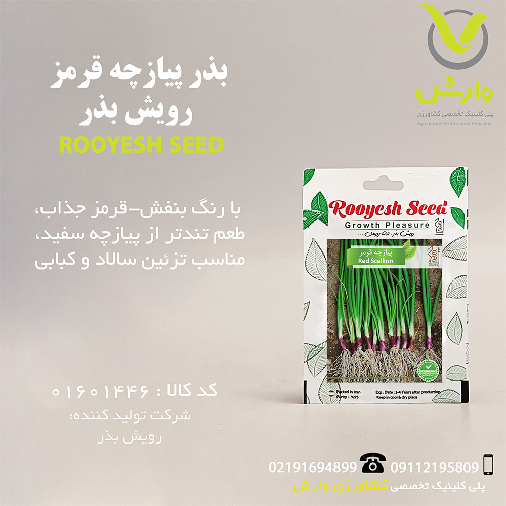 بذر پیازچه قرمز رویش بذر