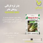 بذر تره فرنگی رویش بذر