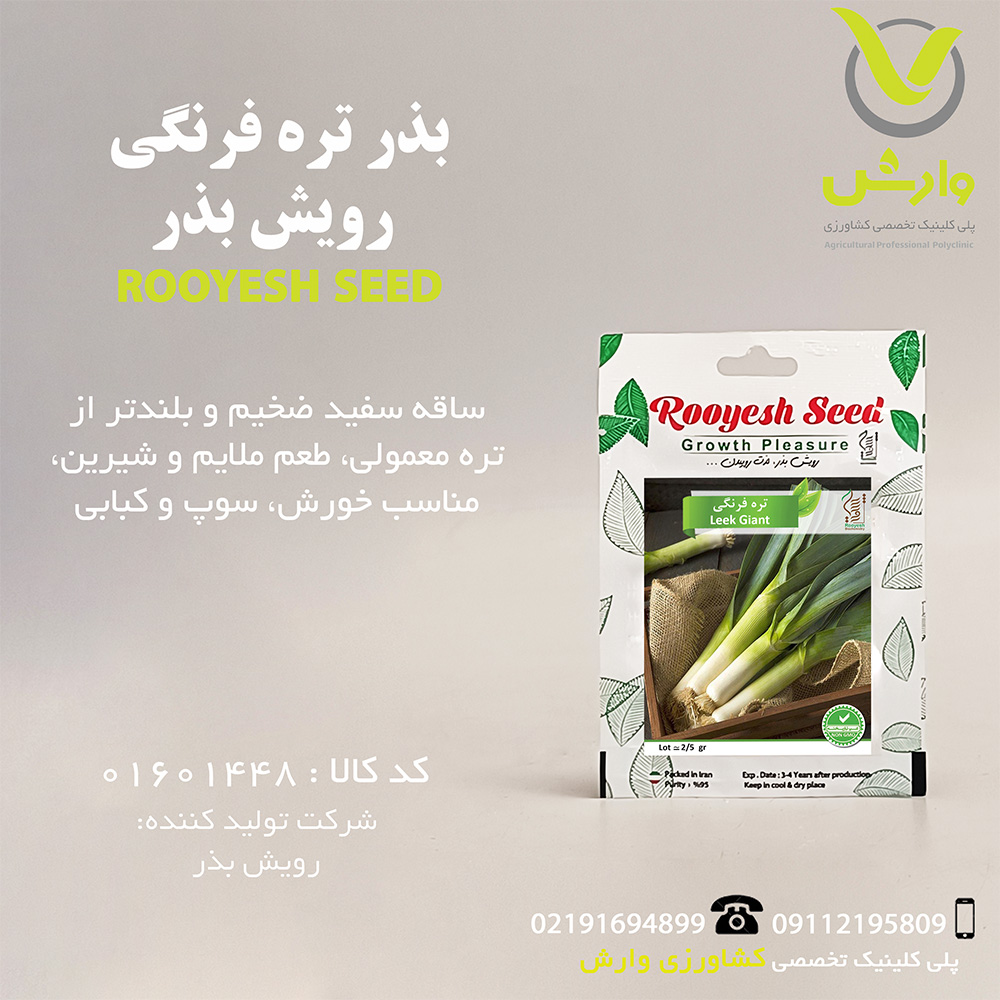 بذر تره فرنگی رویش بذر