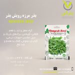 بذر مرزه رویش بذر
