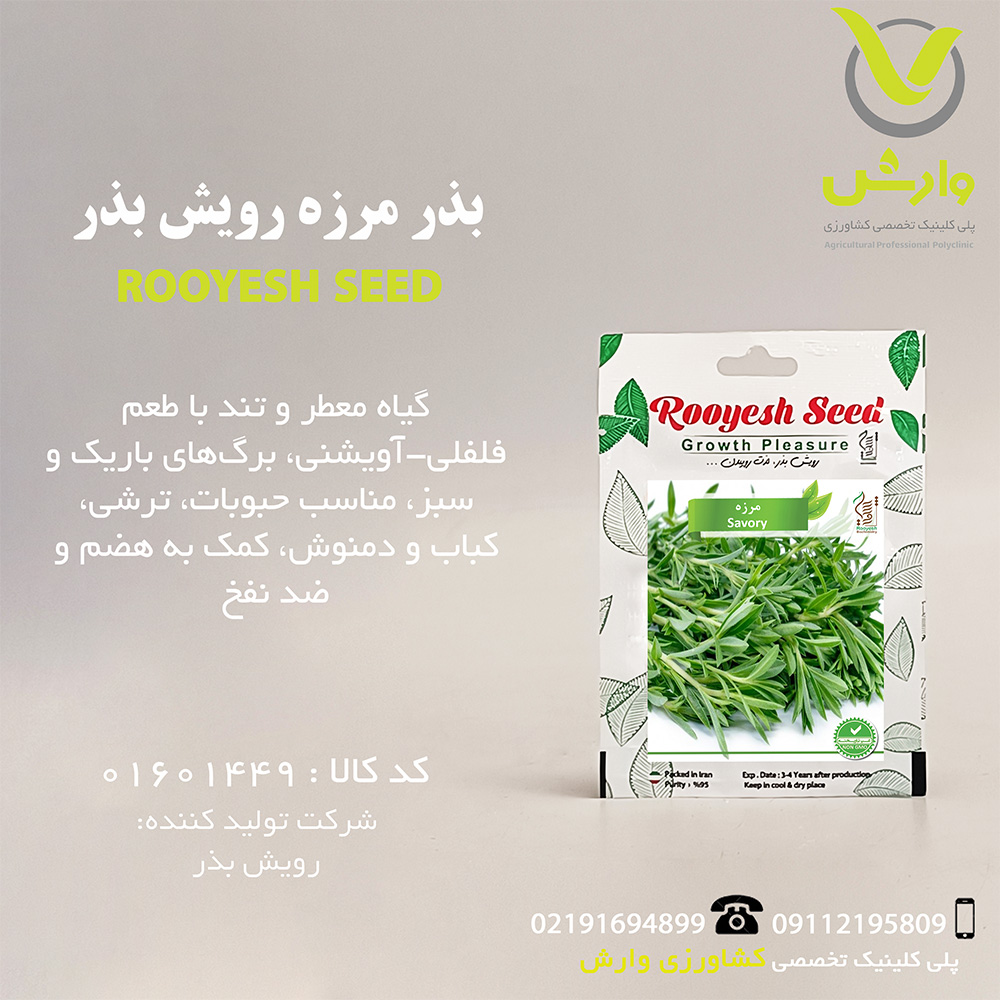 بذر مرزه رویش بذر