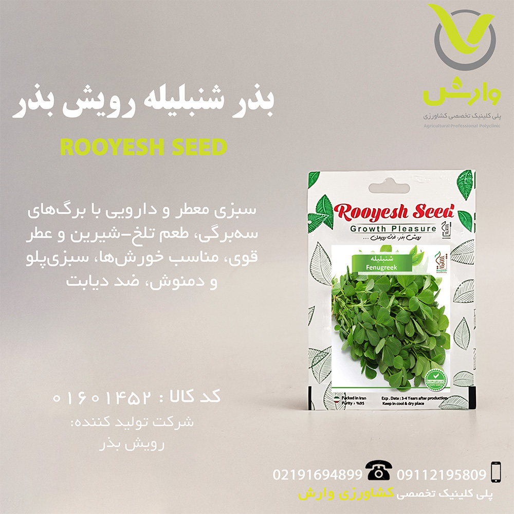 بذر شنبلیله رویش بذر