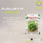 بذر ترخون رویش بذر