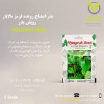 بذر اسفناج رونده قرمز مالابار رویش بذر