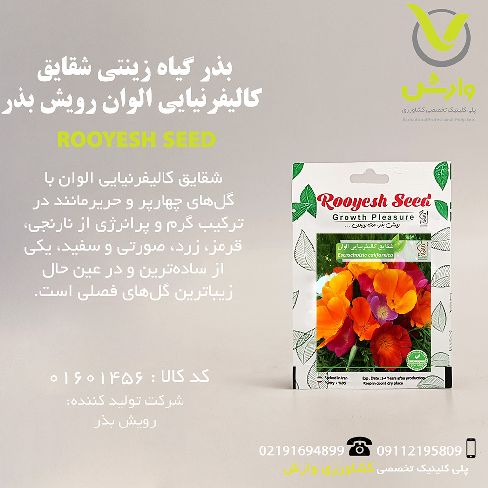 بذر گیاه زینتی شقایق کالیفرنیایی الوان رویش بذر