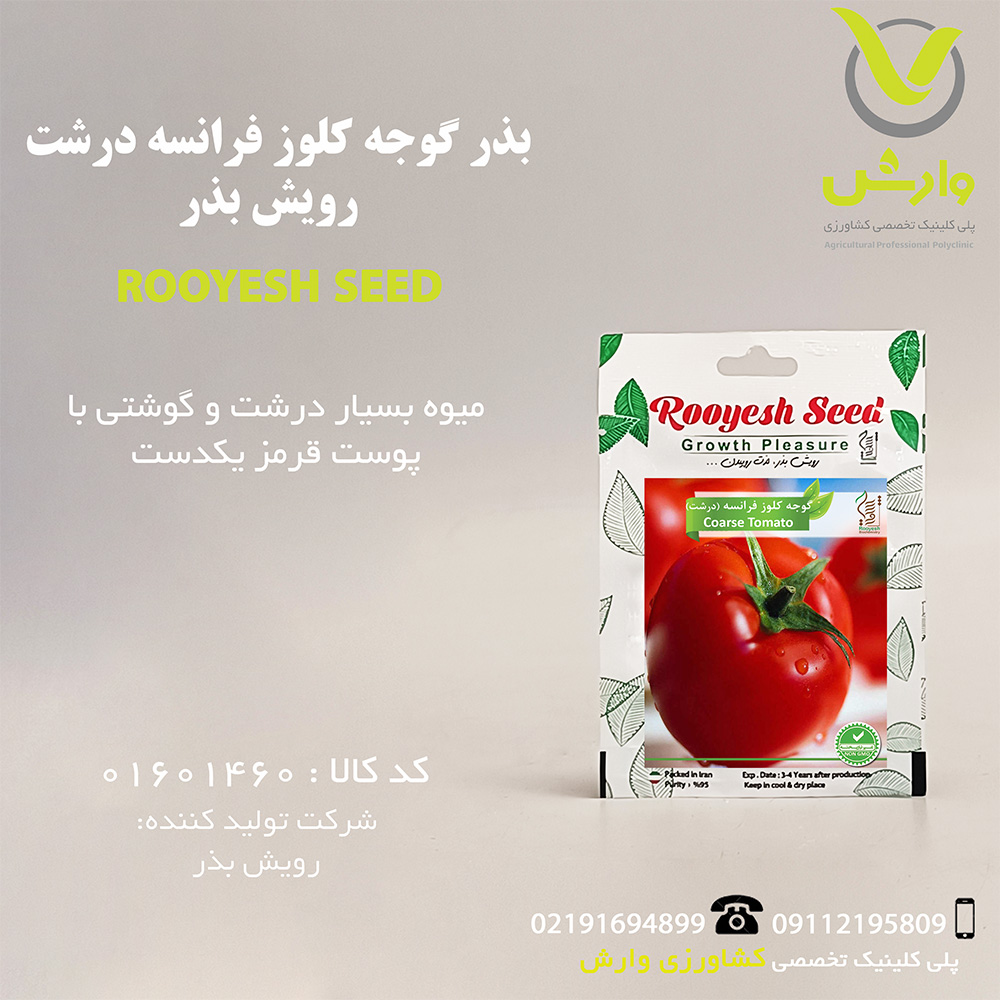 بذر گوجه کلوز فرانسه درشت رویش بذر